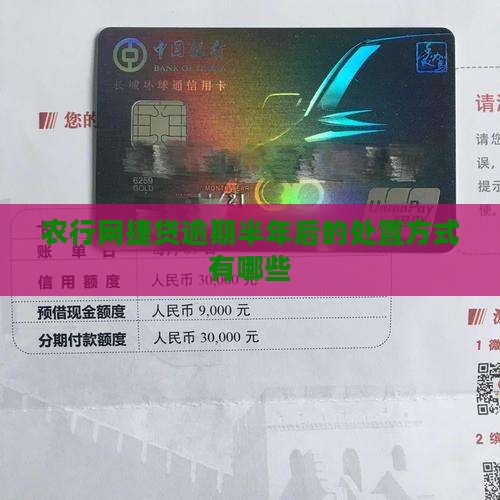 农行网捷贷逾期半年后的处置方式