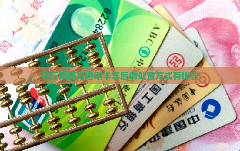 农行网捷贷逾期半年后的处置方式