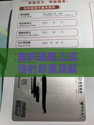 金农易贷逾期上征信的后果及解决方法