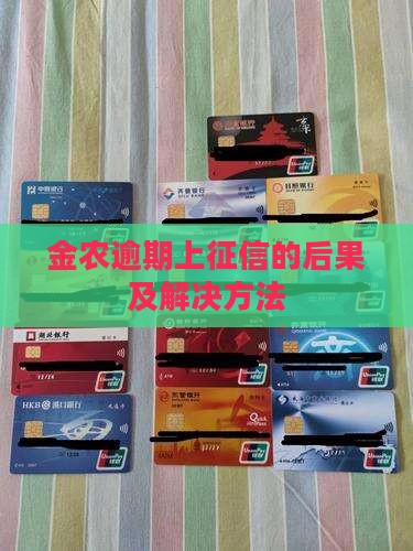 金农易贷逾期上征信的后果及解决方法