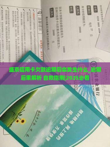 盛京信用卡欠款逾期后会发生什么