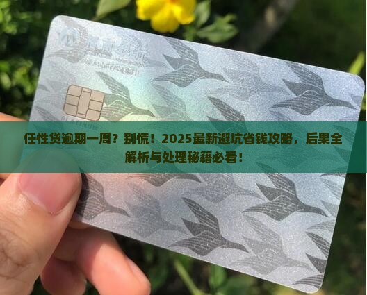任性贷逾期1星期的后果及处理方法