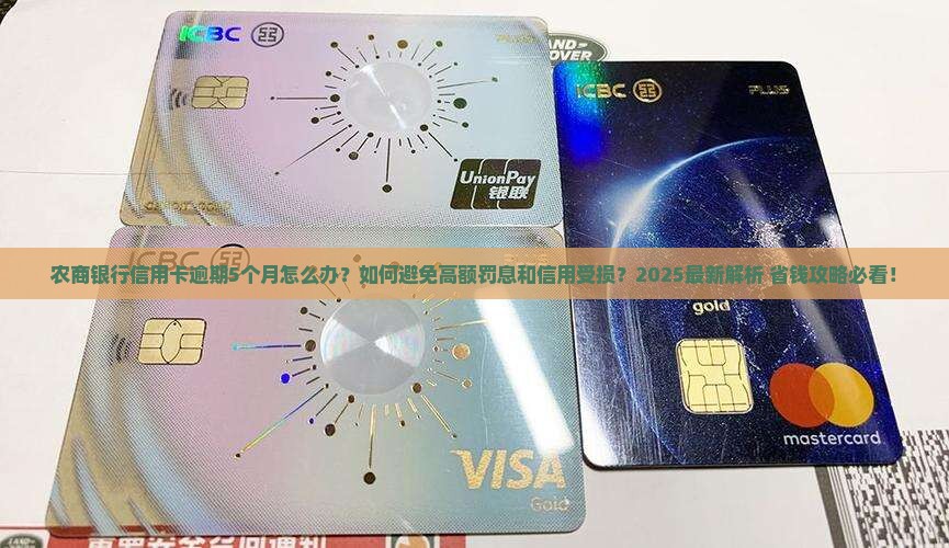 农商银行信用卡逾期5个月怎么处理