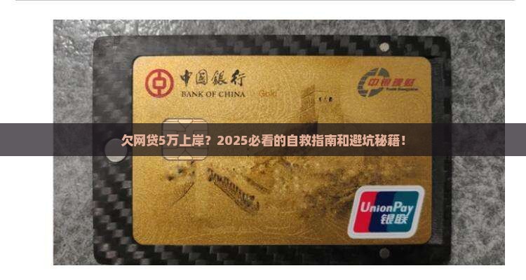 欠网贷5万上岸怎么办