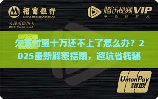 欠支付宝十万还不上了怎么办怎么解决