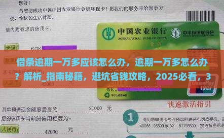 借条逾期一万多应该怎么办