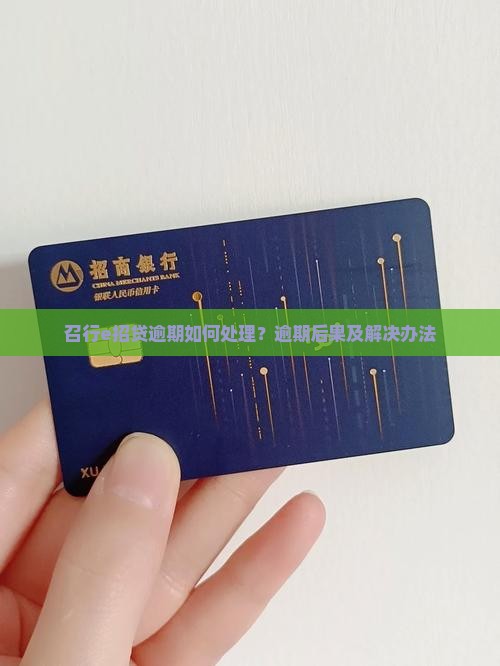 召行e招贷逾期如何处理