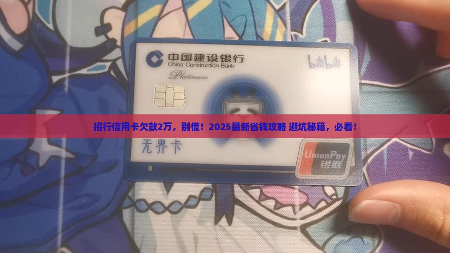 招行信用卡欠款2万怎么办