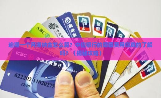 中信银行逾期一个月滞纳金如何计算
