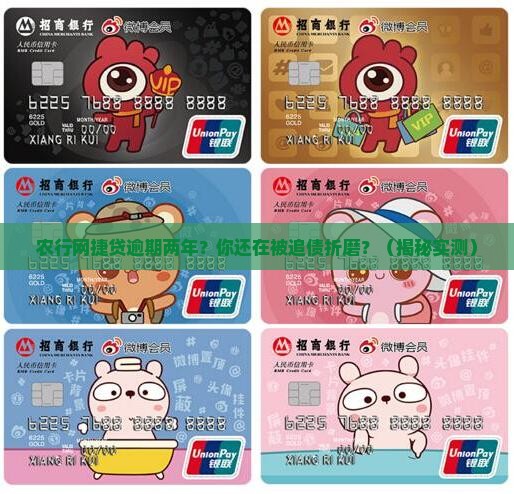 农行网捷贷逾期二年