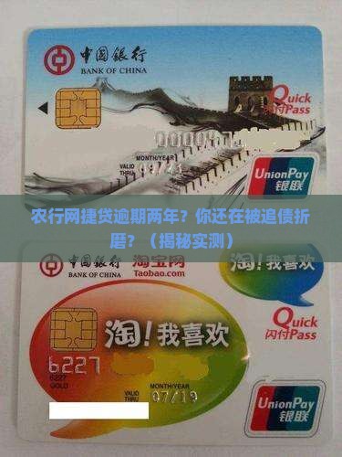 农行网捷贷逾期二年