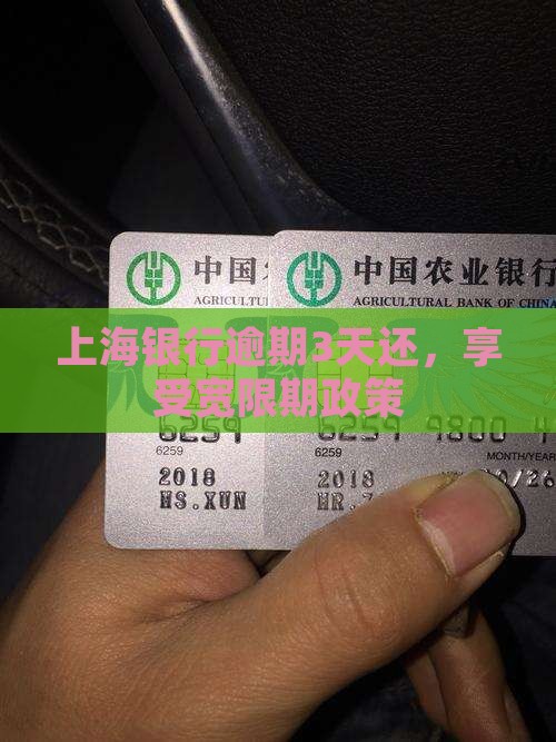 上海银行逾期3天还