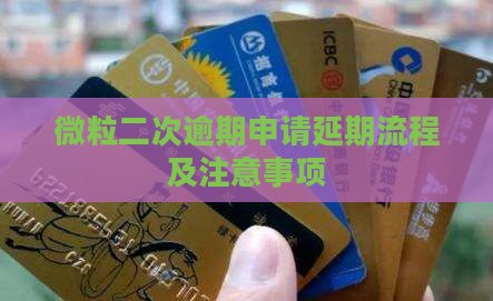 微粒贷二次延期申请流程及注意事项