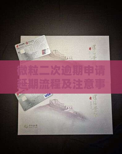 微粒贷二次延期申请流程及注意事项