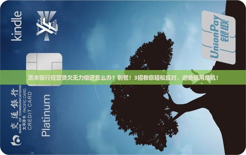 民丰银行经营贷欠无力偿还怎么办