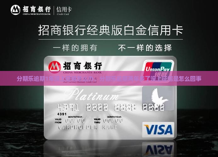 分期乐逾期1年没上征信怎么办