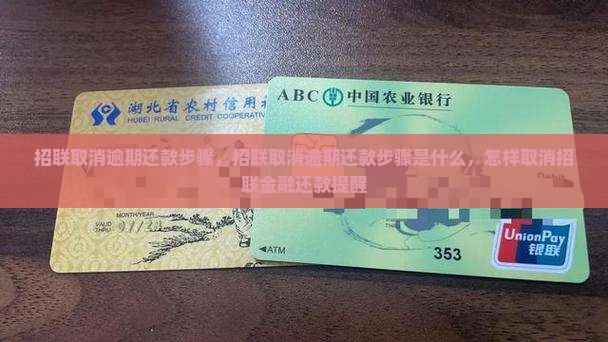 招联取消逾期还款步骤