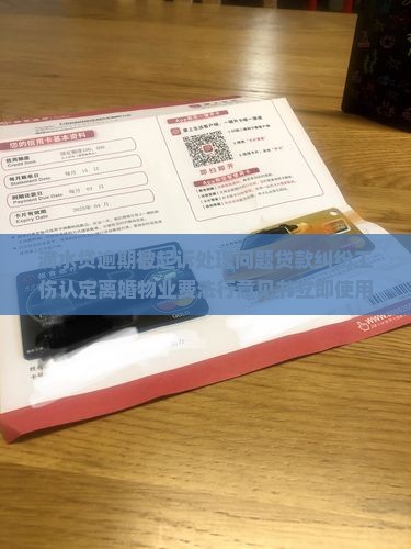滴水贷逾期被起诉处理