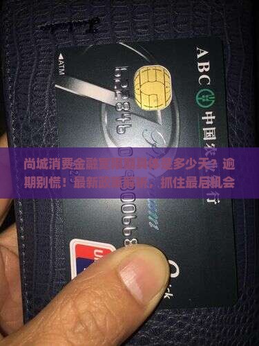 尚城消费金融宽限期具体是多少天