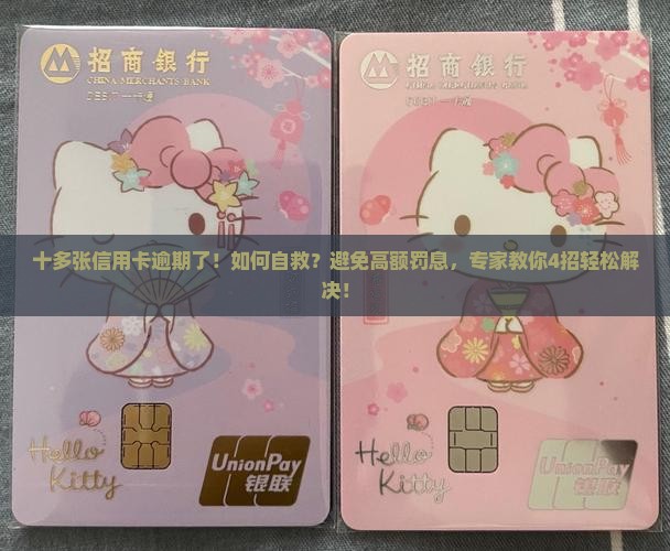 十多张信用卡逾期了