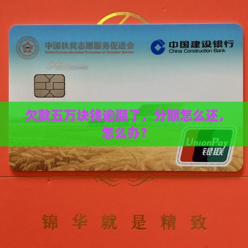 分期乐欠了五万块钱怎么办