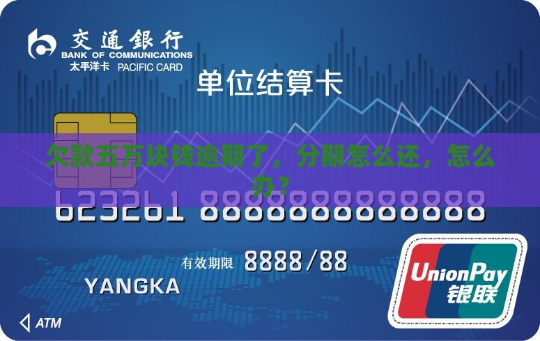分期乐欠了五万块钱怎么办
