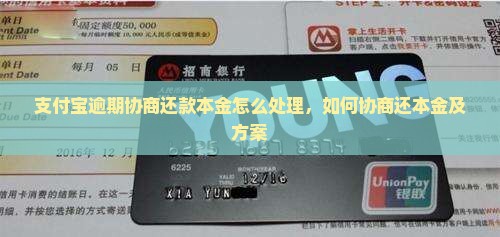支付宝逾期协商还款本金怎么处理