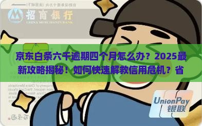 京东白条六千逾期四个月