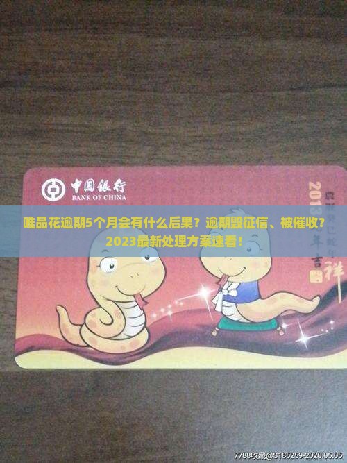 唯品花逾期5个月会有什么后果