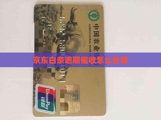 昆山京东白条催收如何处理
