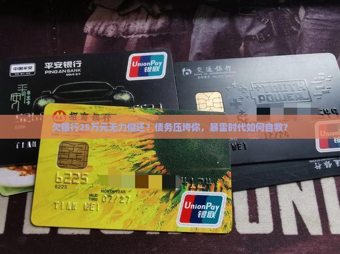 欠银行25万元无力偿还