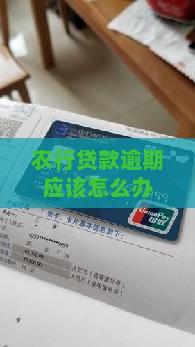 农行贷款逾期应该怎么办