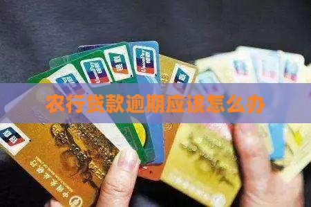农行贷款逾期应该怎么办