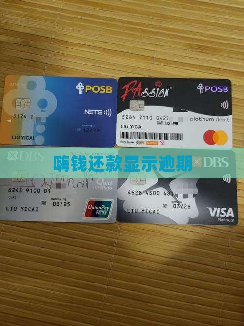 嗨钱还款了显示逾期