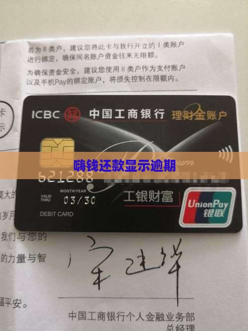 嗨钱还款了显示逾期