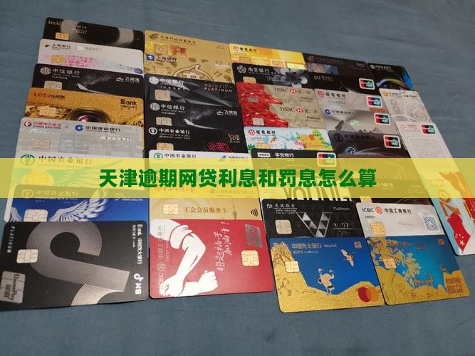 天津逾期网贷怎么办罚款和利息怎么算