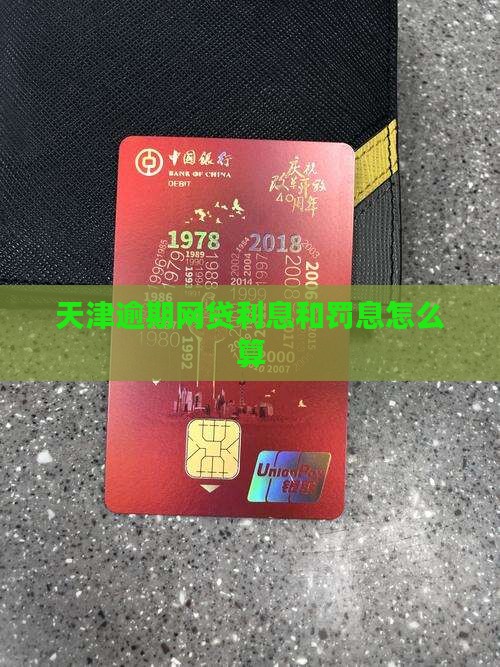 天津逾期网贷怎么办罚款和利息怎么算