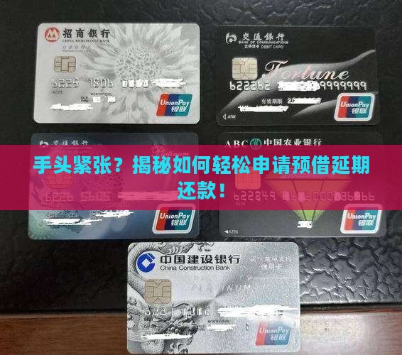 预借延期还款如何申请