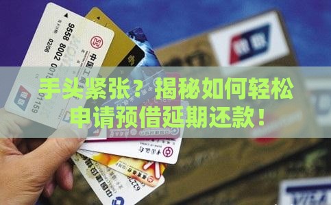 预借延期还款如何申请
