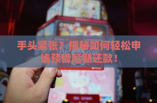 预借延期还款如何申请