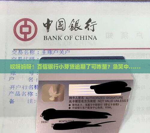百信银行小芽贷逾期如何处理