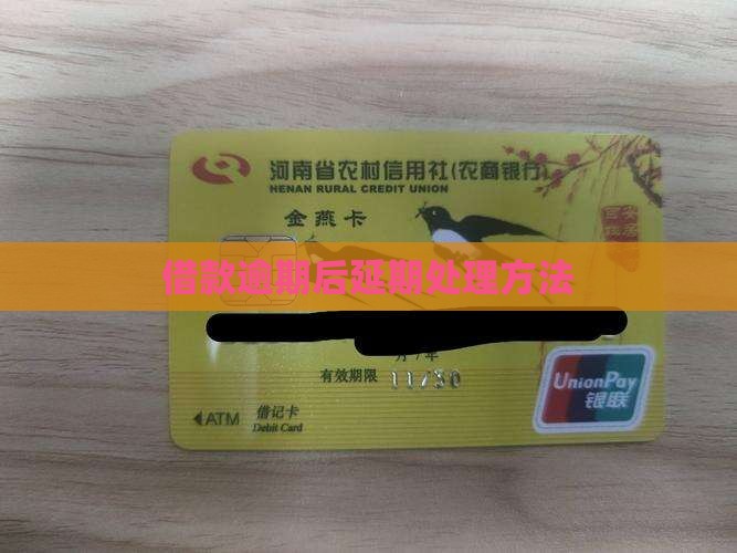 借款延期受理中怎么处理