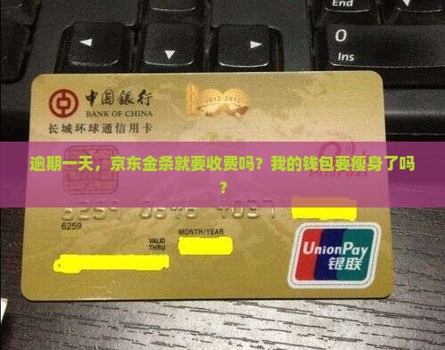 京东金条逾期一天会收费吗