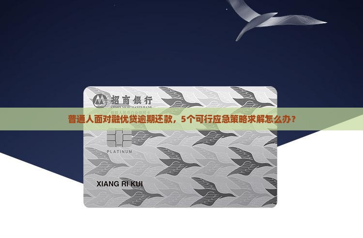 融优贷还不起怎么办有效解决办法
