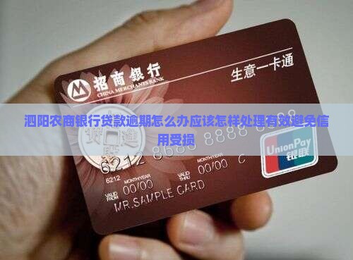 泗阳农商银行贷款逾期怎么办应该怎样处理