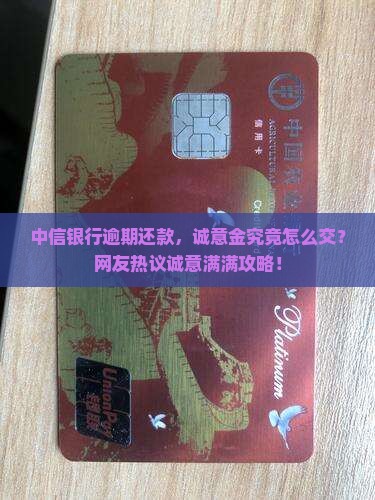 中信银行逾期要交诚意金