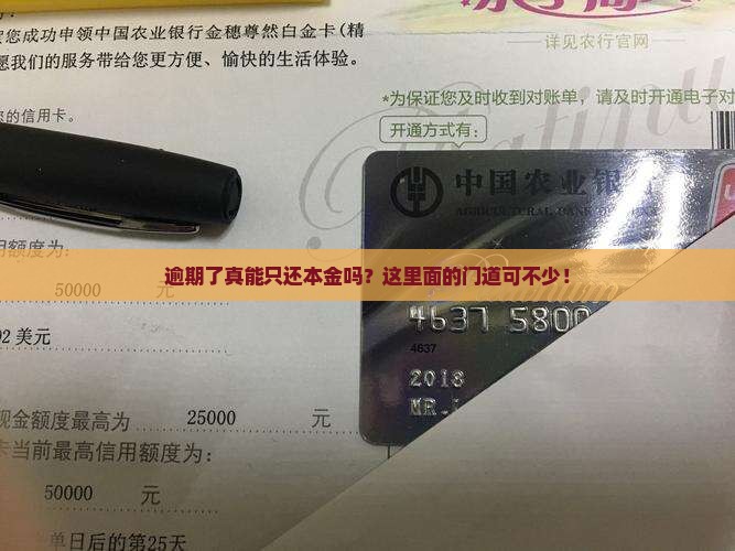逾期减免是只还本金吗