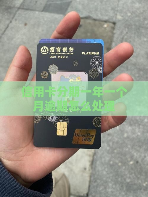 信用卡分期一年一个月逾期如何处理