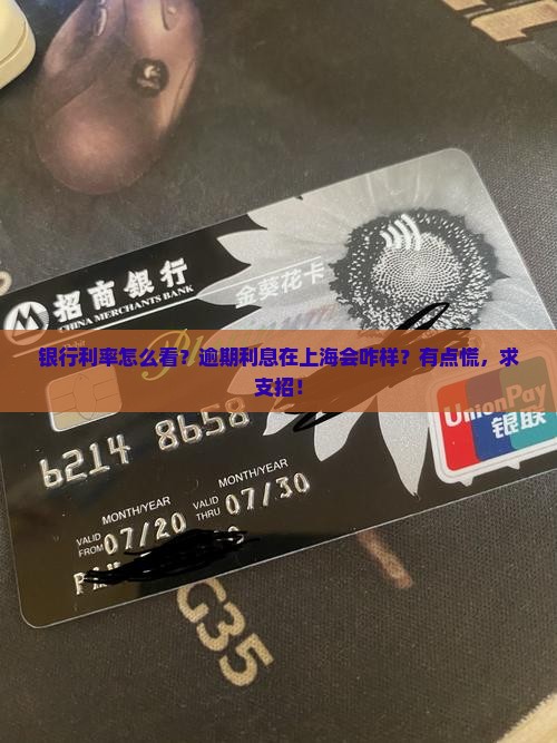 银行利率和逾期利息上海