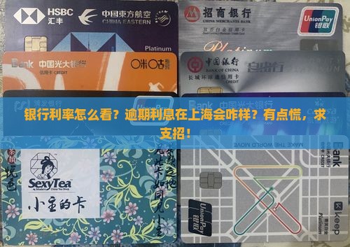 银行利率和逾期利息上海